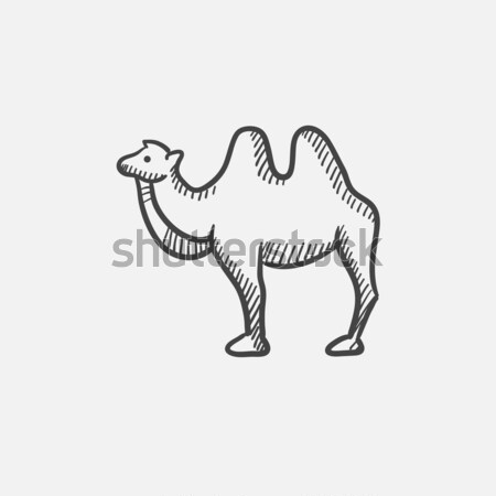 Camel sketch icon. Stock photo © RAStudio