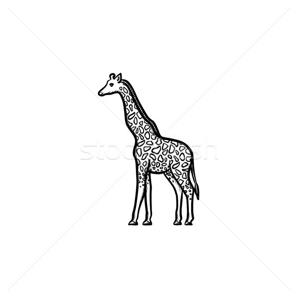 Zdjęcia stock: żyrafa · szkic · ikona · wektora