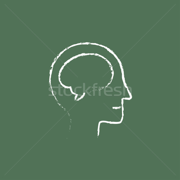 Human head with brain icon drawn in chalk. Stock photo © RAStudio