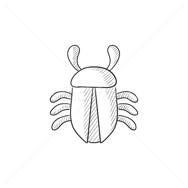 Computer bug sketch icon. Stock photo © RAStudio