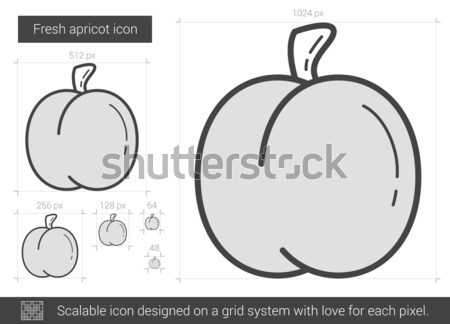 Fresh apricot line icon. Stock photo © RAStudio