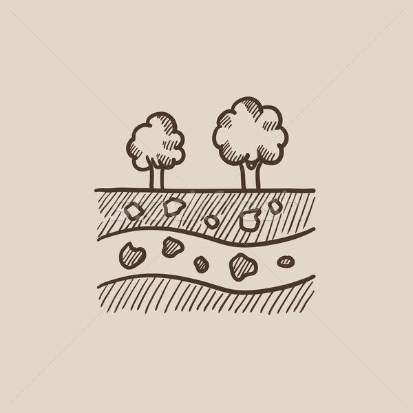 Cut of soil with different layers and trees on top sketch icon. Stock photo © RAStudio