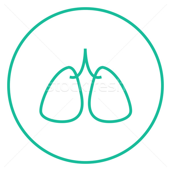 Lungs line icon. Stock photo © RAStudio