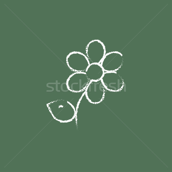 Fleur icône craie dessinés à la main tableau noir [[stock_photo]] © RAStudio