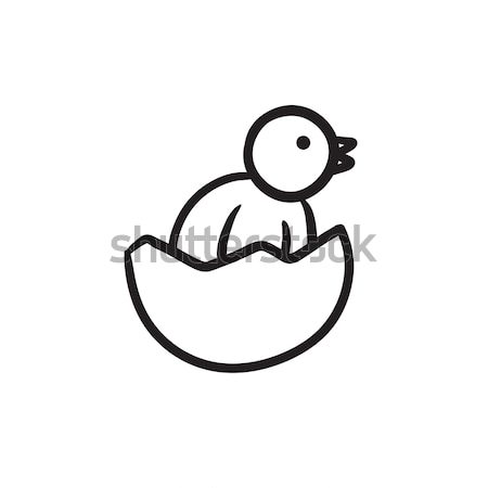 Chick peeking out of egg shell sketch icon. Stock photo © RAStudio