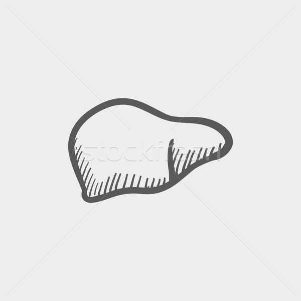 Human liver sketch icon Stock photo © RAStudio