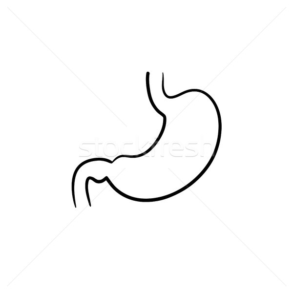 Stomaco digestione contorno doodle icona Foto d'archivio © RAStudio