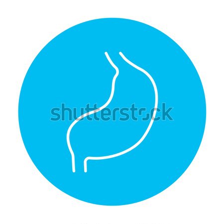 Estómago delgado línea icono web móviles Foto stock © RAStudio
