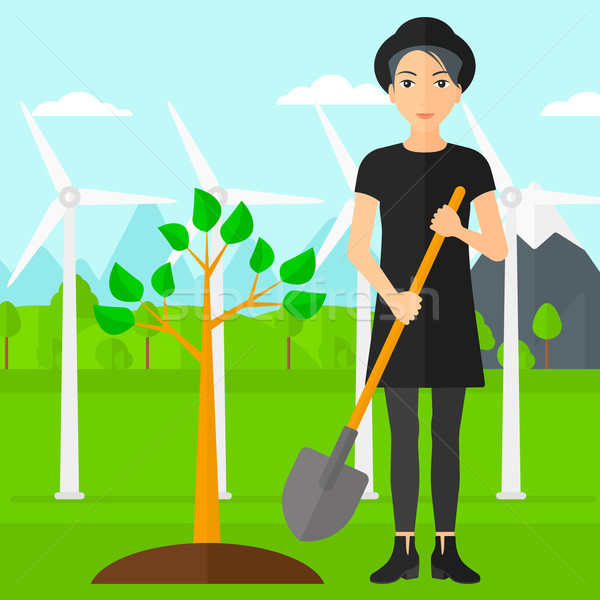 Woman plants tree. Stock photo © RAStudio