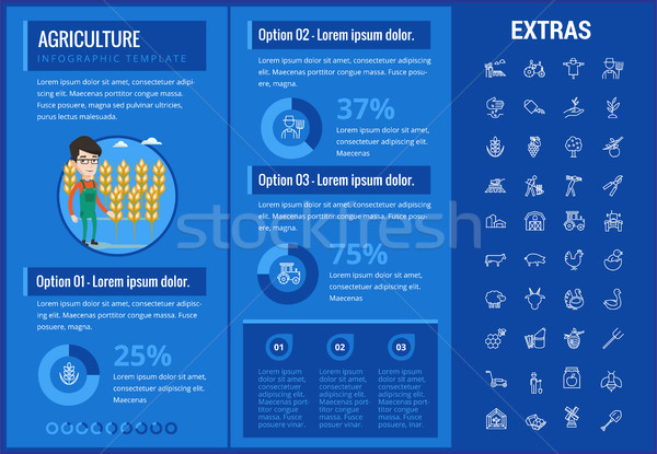 Stock fotó: Mezőgazdaság · infografika · sablon · elemek · ikonok · testreszabható