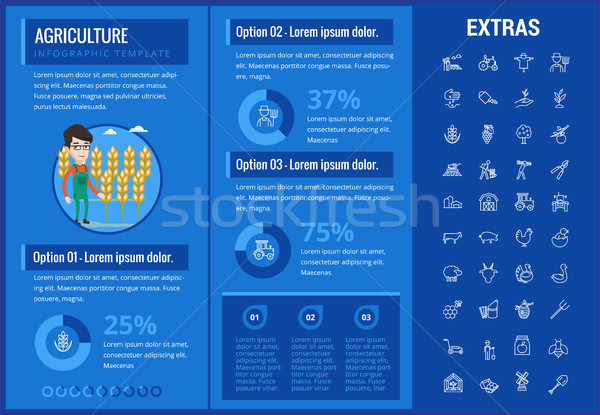 Agricoltura infografica modello elementi icone personalizzabile Foto d'archivio © RAStudio