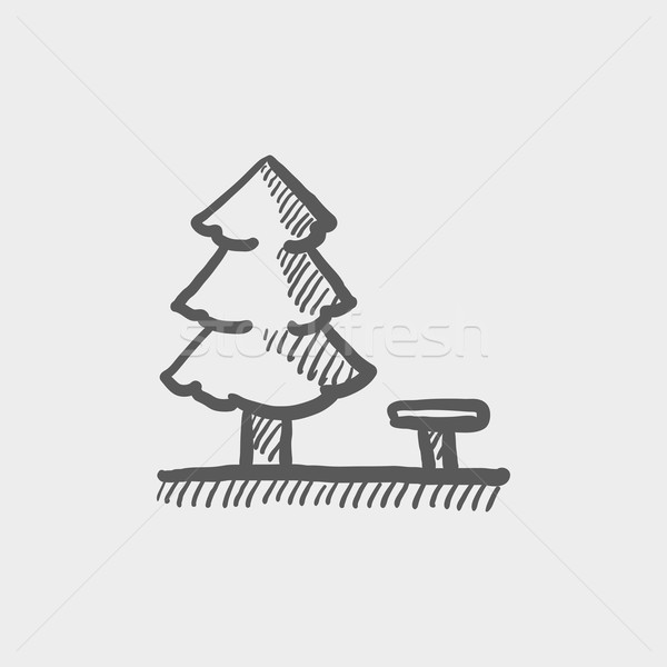 Pine tree sketch icon Stock photo © RAStudio
