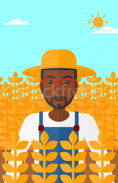 Hombre campo de trigo pie vector diseno ilustración Foto stock © RAStudio