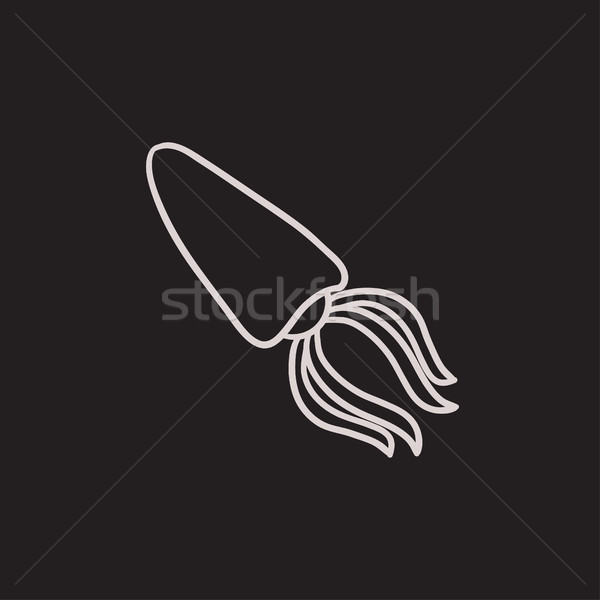 Calamari sketch icona vettore isolato Foto d'archivio © RAStudio