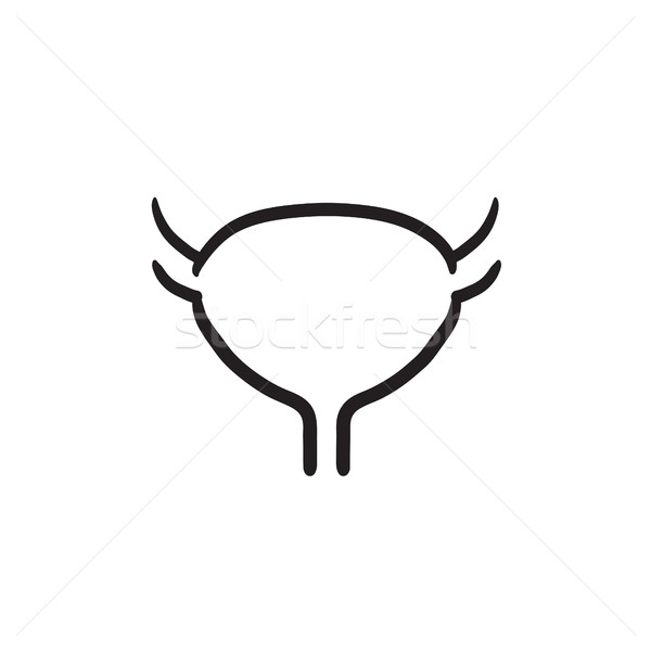 Urinary bladder sketch icon. Stock photo © RAStudio