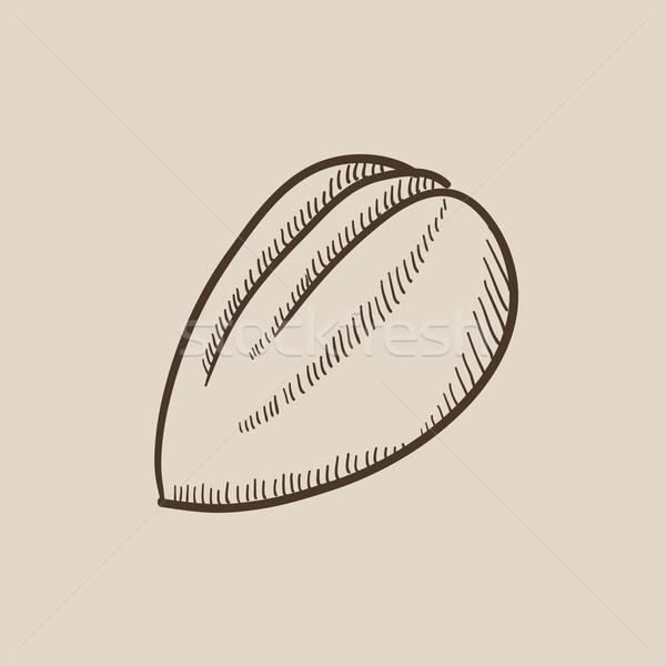 Almond sketch icon. Stock photo © RAStudio