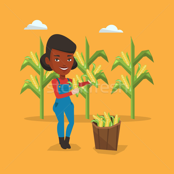 Farmer collecting corn vector illustration. Stock photo © RAStudio