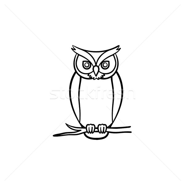 Wisdom owl hand drawn sketch icon. Stock photo © RAStudio