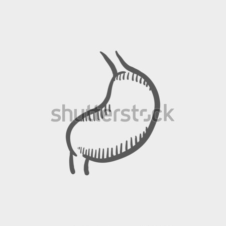 Gebärmutter Skizze Symbol Web mobile Hand gezeichnet Stock foto © RAStudio