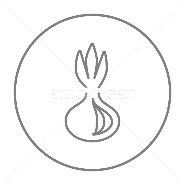 Onion line icon. Stock photo © RAStudio