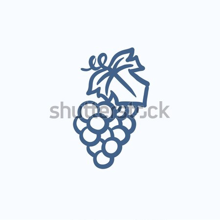 Grape line icon. Stock photo © RAStudio