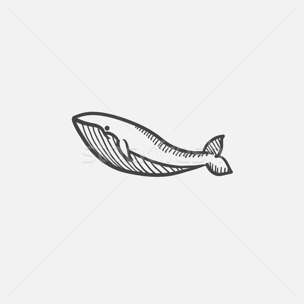 Stock photo: Whale sketch icon.