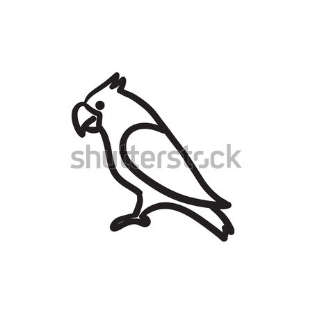 Papağan kroki ikon vektör yalıtılmış Stok fotoğraf © RAStudio