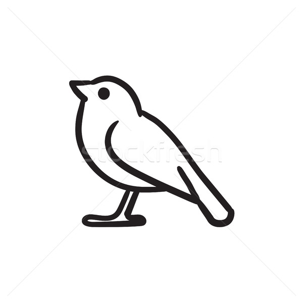 Bird sketch icon. Stock photo © RAStudio