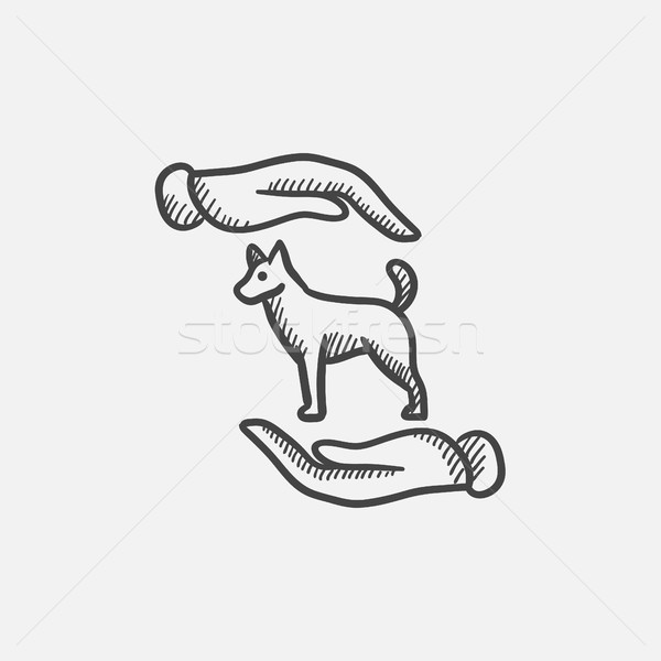 Pet care sketch icon. Stock photo © RAStudio
