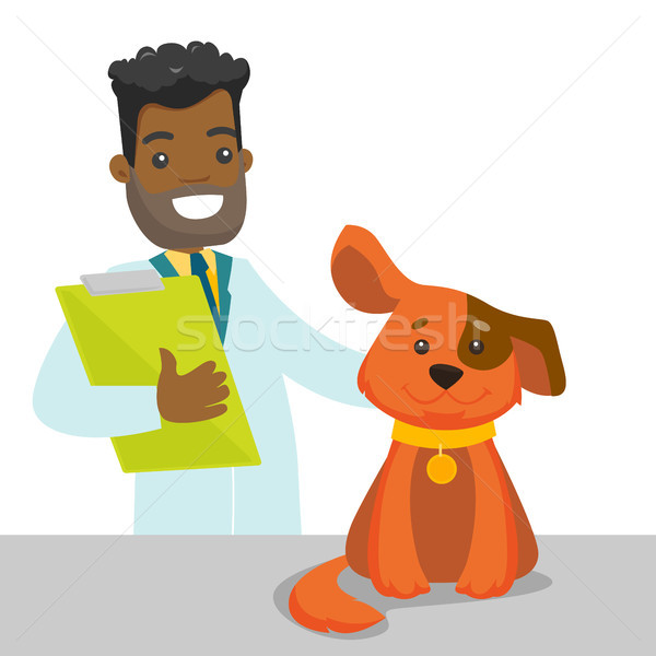 African-american veterinarian examining dog. Stock photo © RAStudio