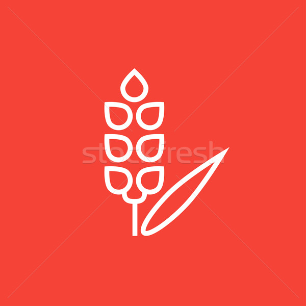 Wheat line icon. Stock photo © RAStudio