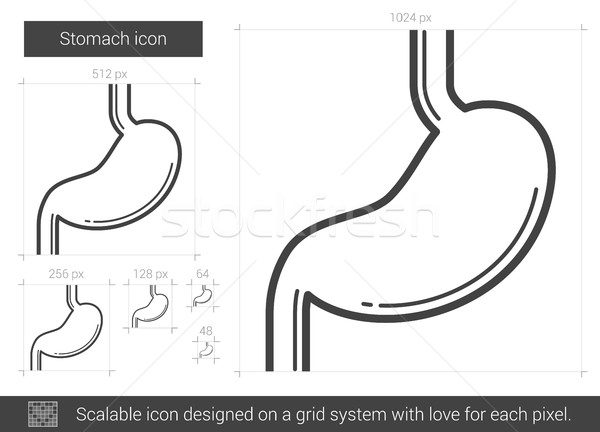 Stomach line icon. Stock photo © RAStudio