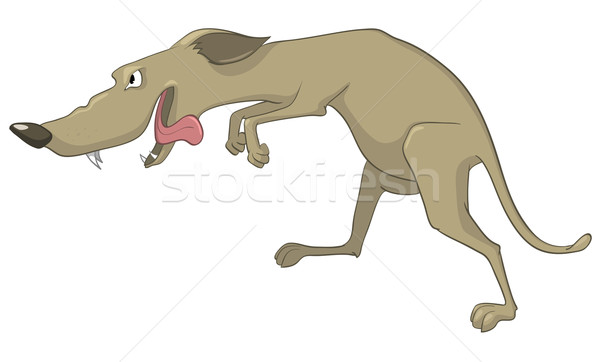 Cartoon Character Sly Dog Stock photo © RAStudio