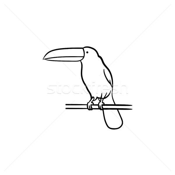Toucan hand drawn sketch icon. Stock photo © RAStudio