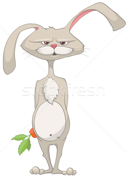 Zeichentrickfigur Kaninchen isoliert weiß Vektor kid Stock foto © RAStudio