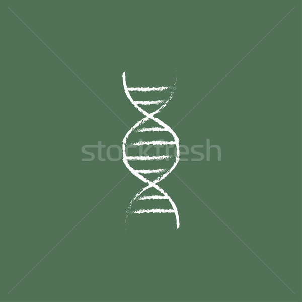 DNA icon drawn in chalk. Stock photo © RAStudio