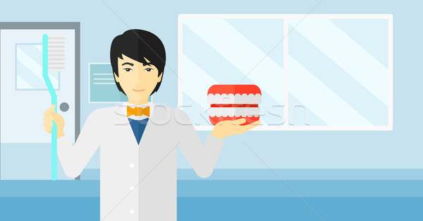 Dentysta stomatologicznych szczęka model szczoteczka asian Zdjęcia stock © RAStudio