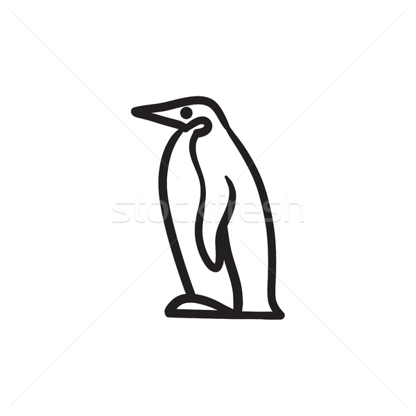 Pingvin rajz ikon vektor izolált kézzel rajzolt Stock fotó © RAStudio
