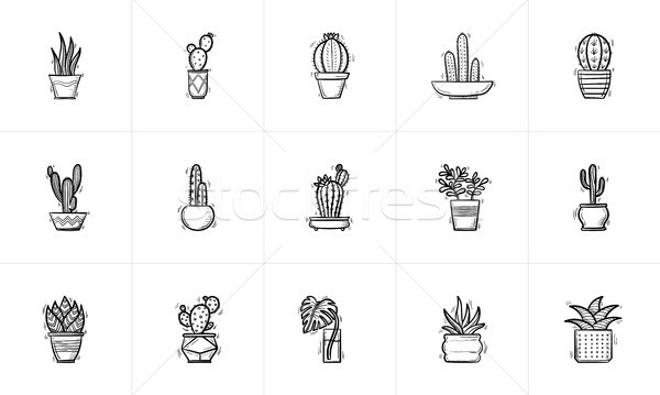 House potted plants and flowers sketch icon set. Stock photo © RAStudio