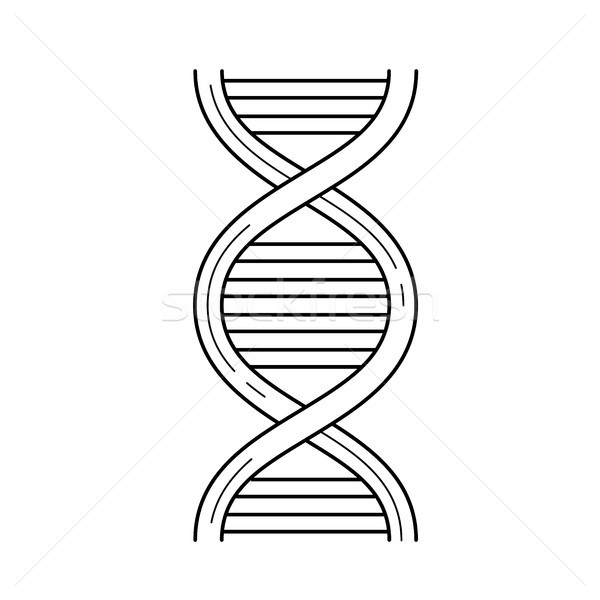ADN línea icono vector aislado blanco Foto stock © RAStudio