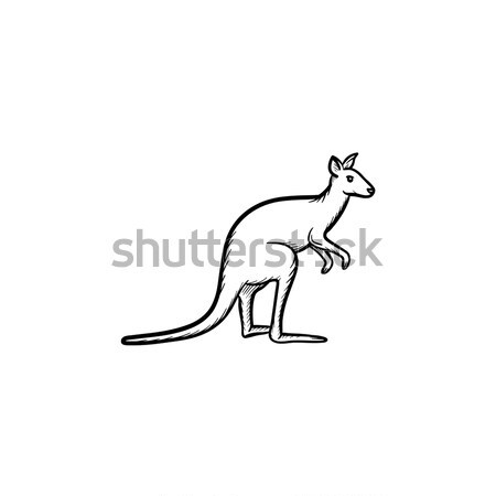 Känguru Hand gezeichnet Skizze Symbol Gliederung Doodle Stock foto © RAStudio