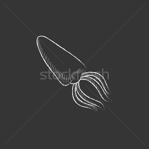 Kałamarnica kredy ikona wektora Zdjęcia stock © RAStudio