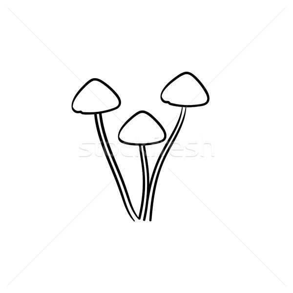 Agaric mushroom hand drawn sketch icon. Stock photo © RAStudio