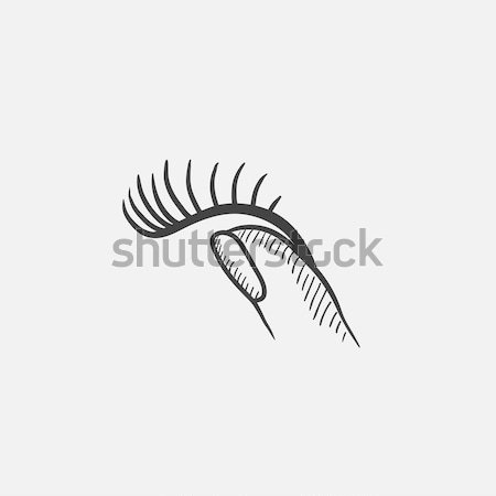 付け睫毛 スケッチ アイコン ベクトル 孤立した 手描き ストックフォト © RAStudio