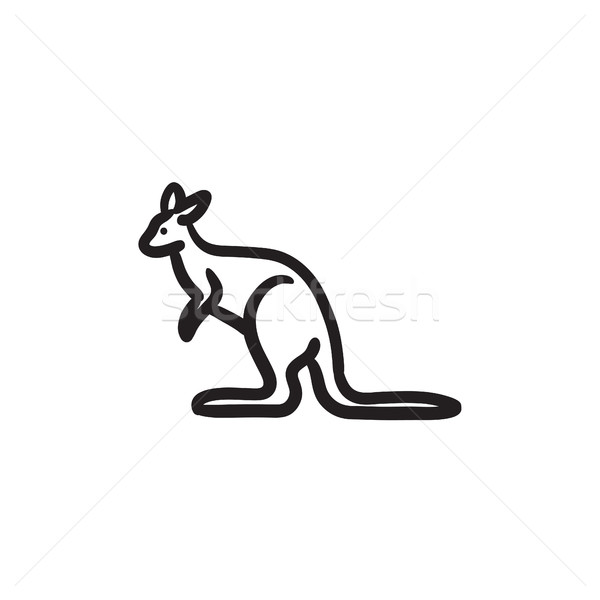 Känguru Skizze Symbol Vektor isoliert Hand gezeichnet Stock foto © RAStudio