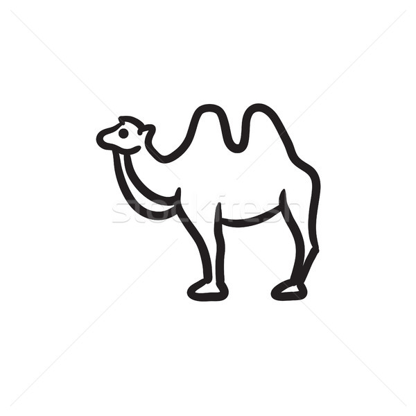 Camel sketch icon. Stock photo © RAStudio