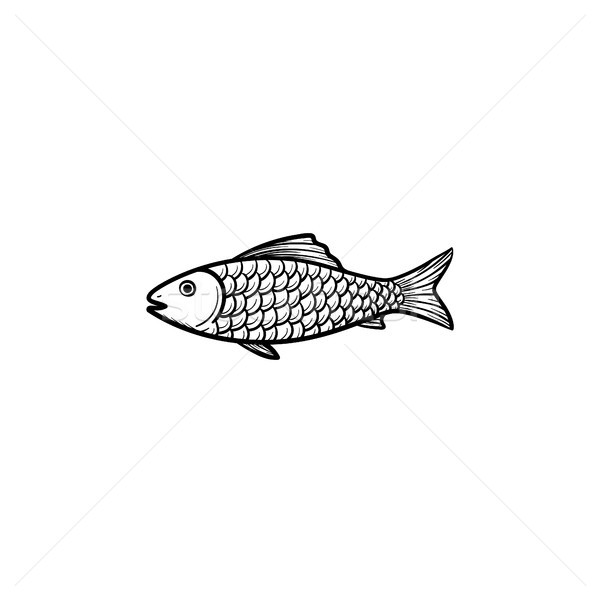Raw fish hand drawn sketch icon. Stock photo © RAStudio
