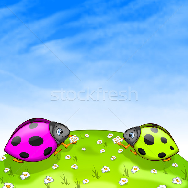 Ladybird Stock photo © RAStudio