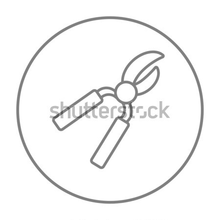 Pruner line icon. Stock photo © RAStudio