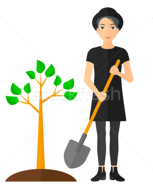 Woman plants tree. Stock photo © RAStudio